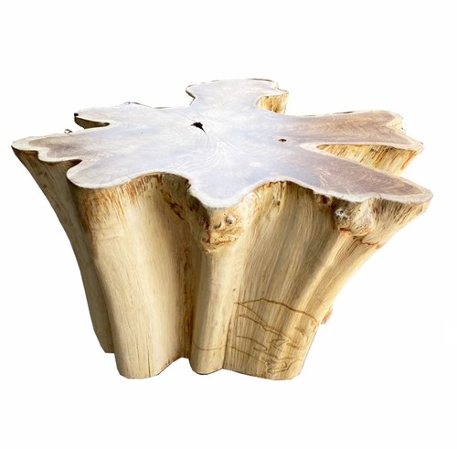 Teak stump coffee table - teak,