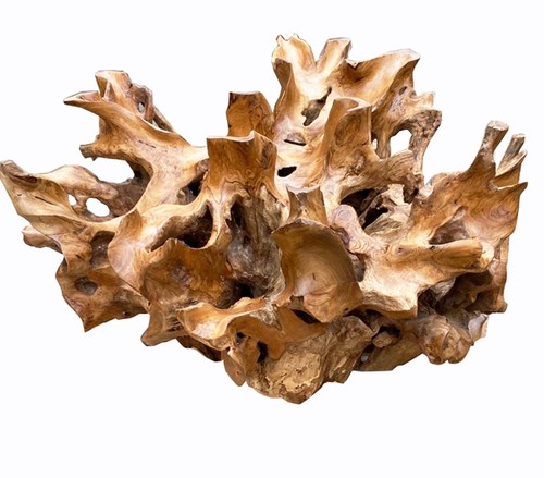 Elegant teak root coffee - 35”,