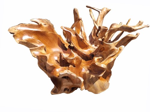 Teak root coffee table - coffee,