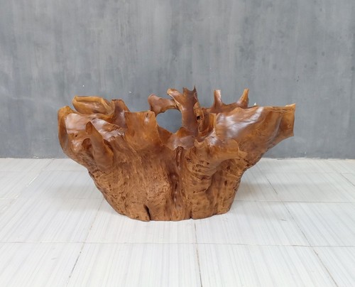 Timeless teak root - timeless,