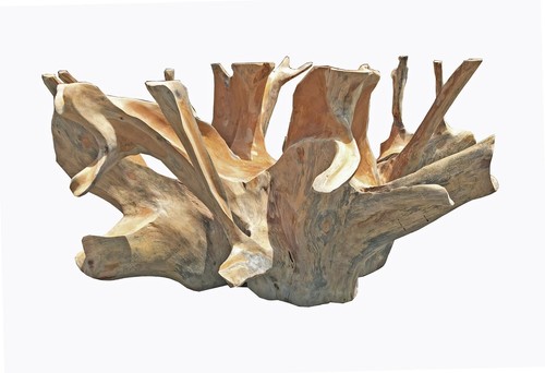Natural drift wood teak - wood,
